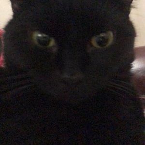 Meet your Posher, Cecilia